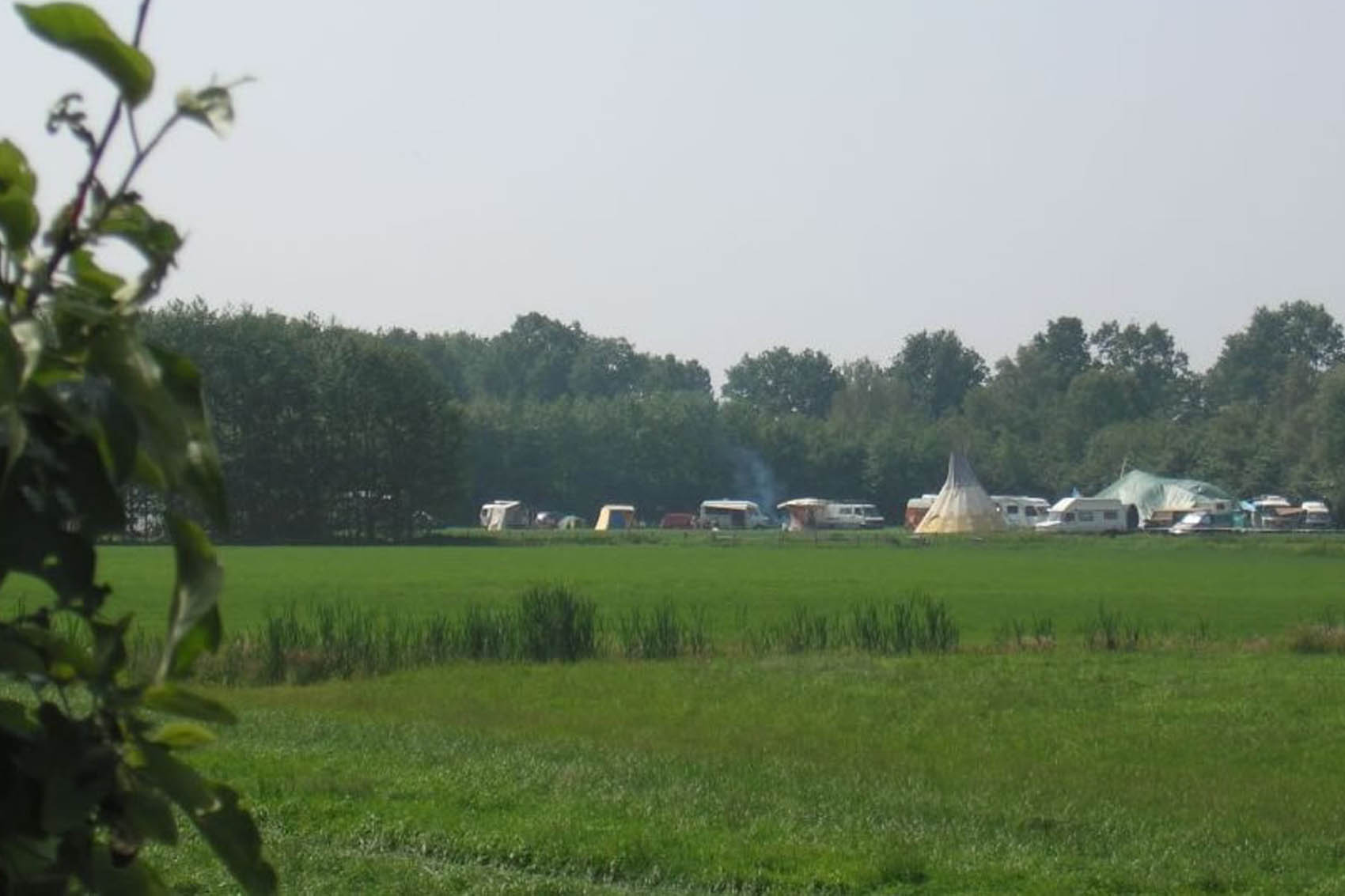 gathering in een weiland